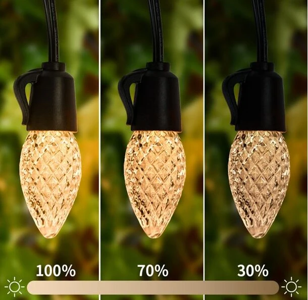 Luz colgante blanca cálida de 3 intensidades: 100%, 70%, 30% para decorar exteriores.