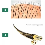 Tónico capilar jengibre, animación de raíces de cabello fuertes y engrosadas, y un folículo piloso.