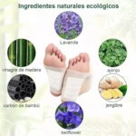 Pies con parches Kinoki, mostrando ingredientes naturales: lavanda, ajenjo, jengibre, bambú y bellflower.