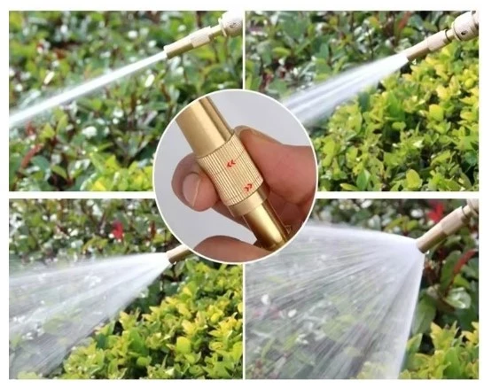 Boquilla Dorada de Manguera de Chorro De