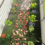 Manguera con sistema de riego para plantas, con 6 boquillas y atomizadores, ideal para jardines verticales.