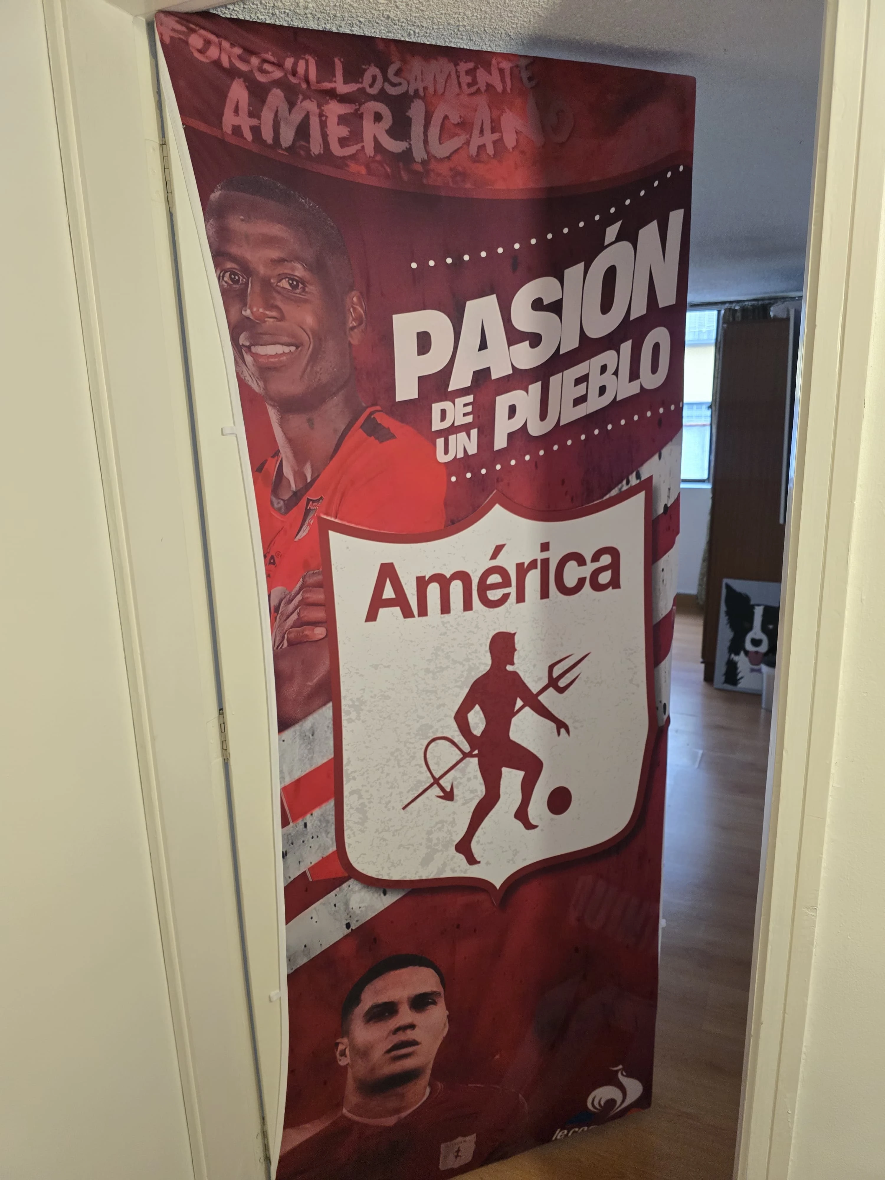 Funda decorativa para puerta de equipo deportivo América de Cali, rojo, con jugadores y logo.