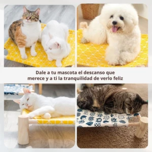 Hamaca portátil de madera para mascotas con diseño estampado, muestra 2 gatos y 1 perro en sus hamacas, ideal para descanso.