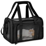 Maleta transportadora plegable para mascotas, negra, con ventana de malla y gatito naranja y blanco dentro.