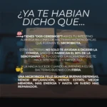 Bolsa de Linazamix 450 gramos con texto sobre beneficios de la microbiota y serotonina.