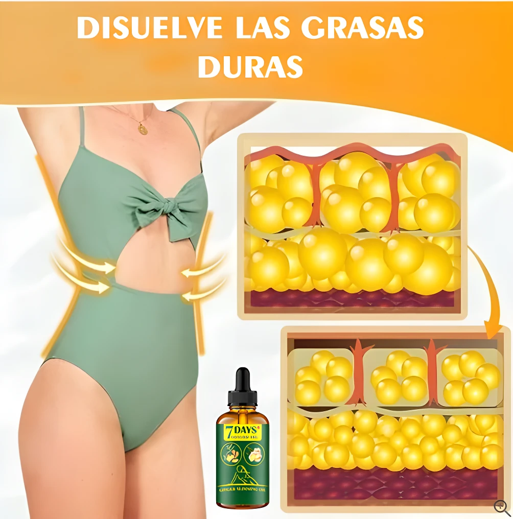 Aceite de jengibre para adelgazar y masajes, aplicándose en cintura con esquema de grasa corporal reducida.