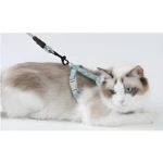 Gato ragdoll con arnés azul claro floral, ajustable, sobre fondo blanco.