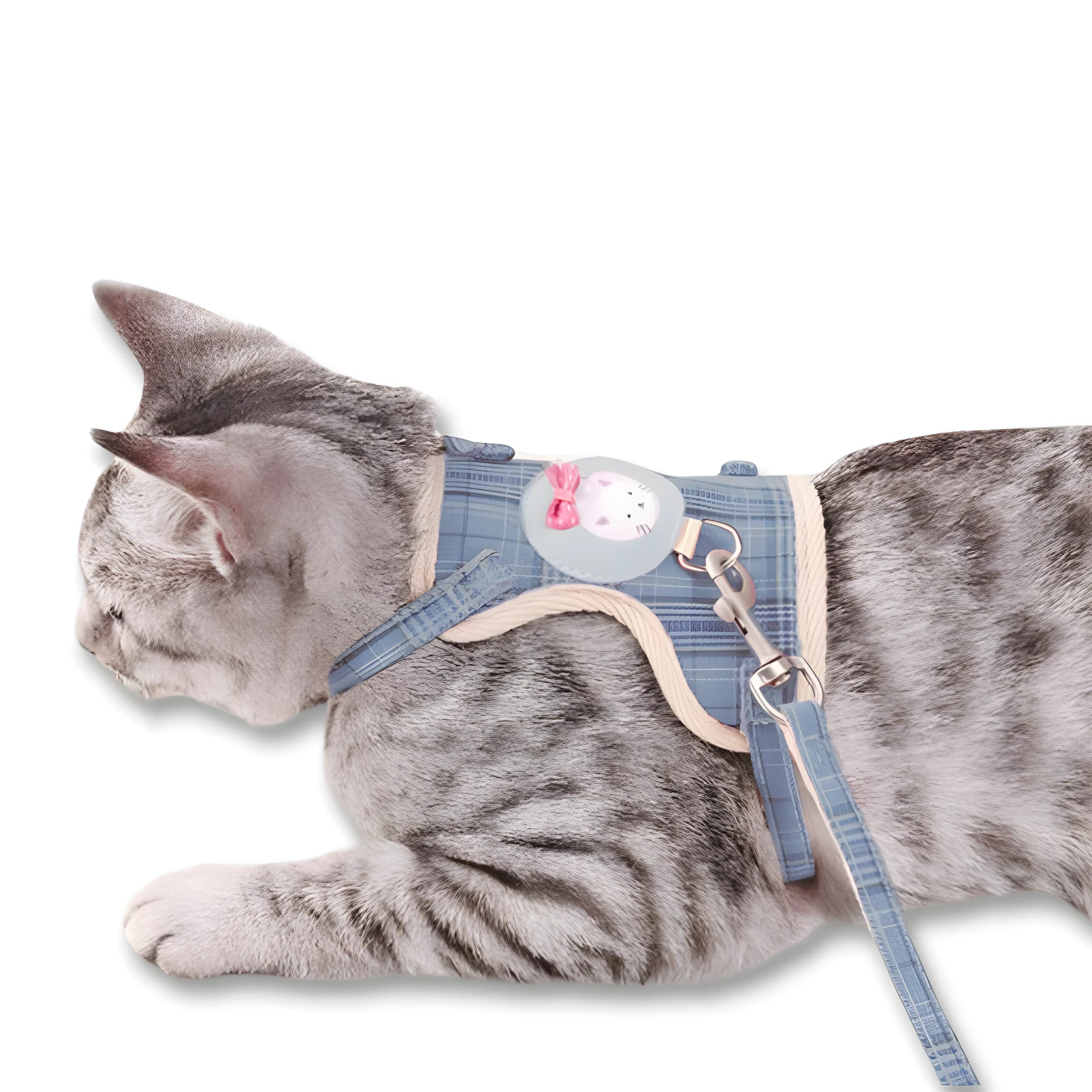 Gato gris atigrado con arnés azul a cuadros con estampado de gatito y correa.