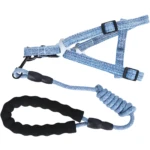 Arnés y correa azul con estampado de líneas, acolchado negro, ajustable para paseos.