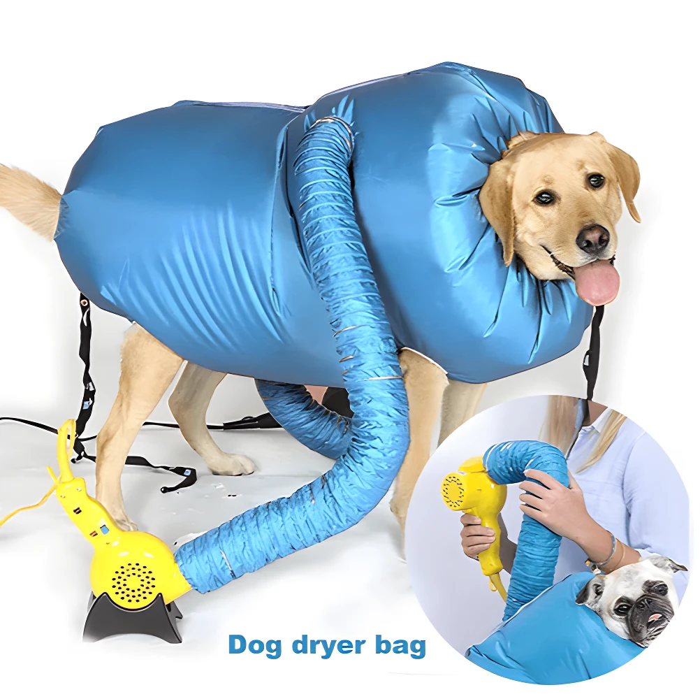 Perro labrador con bolsa secadora azul, flexible, con manguera y secador amarillo para secado rápido y sin salpicaduras.