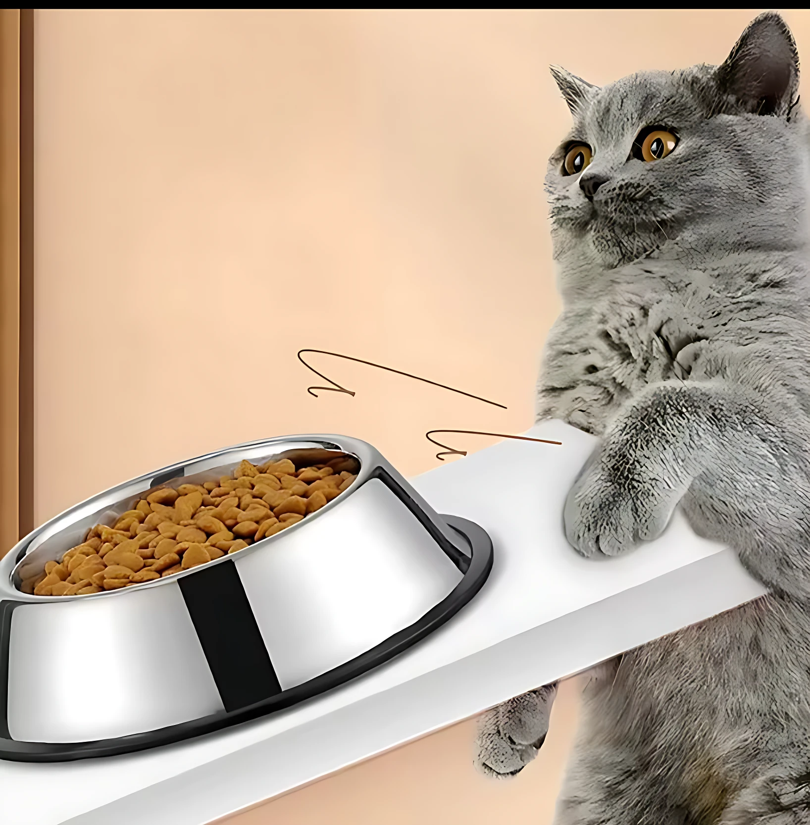 Gato gris mirando plato de acero inoxidable con croquetas, expuesto en ángulo desde el frente.