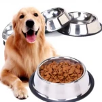 Perro golden retriever feliz junto a un comedero de acero inoxidable lleno de alimento.