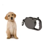 Cachorro golden retriever sentado junto a correa retráctil para mascota color gris.