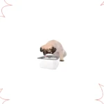 Pug bebe de fuente de agua eléctrica para mascotas con dispensador burbujeante.