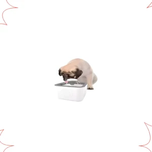 Pug bebe de fuente de agua eléctrica para mascotas con dispensador burbujeante.