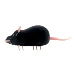 Juguete interactivo para gatos, ratón negro brillante con detalles rosados, simula movimiento.