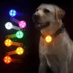 Llavero led multiusos para perros en color naranja brillante, visibilidad nocturna.
