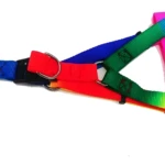 Pechera para mascotas con diseño arcoíris, ajustable y resistente.