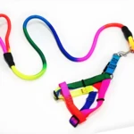 Pechera y cuerda para mascotas arcoíris, con correas ajustables y gancho metálico, ideal para paseos.
