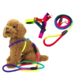 Pechera y cuerda para mascotas estilo arcoíris, en peluche canino.