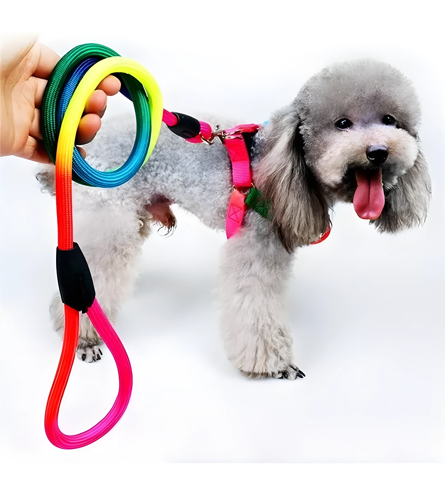 Pechera y cuerda arcoíris para mascotas, ajustable y colorida, ideal para paseos.