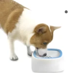 Perro bebiendo de bebedero blanco con borde azul, diseñado para evitar salpicaduras y mantener el agua limpia.