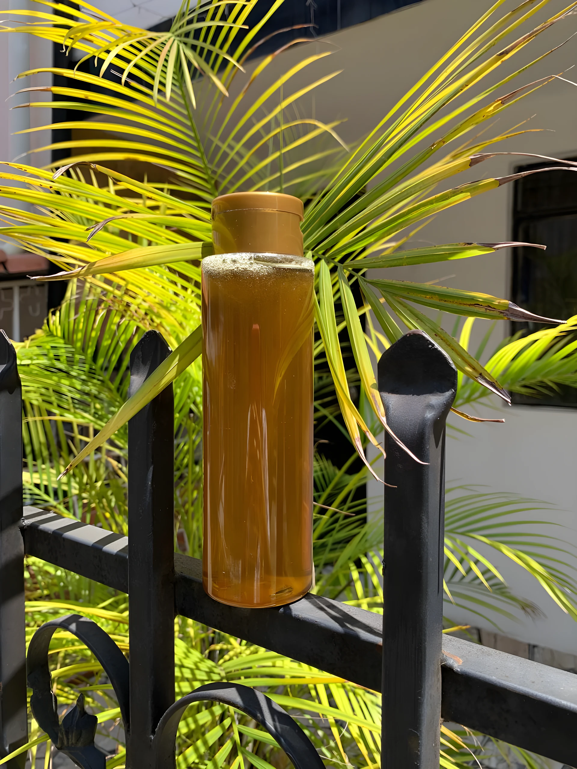 Botella de shampoo artesanal de manzanilla con tapa dorada, líquido ámbar espumoso, en reja negra, hojas verdes y amarillas al fondo.