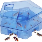 Trampa transparente para cucarachas, diseño de casa, sin químicos, atrae y captura plagas.