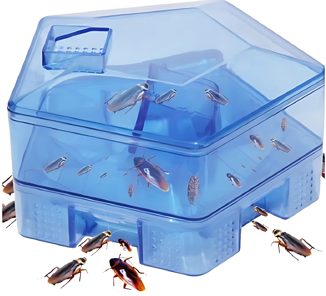 Trampa transparente para cucarachas, diseño de casa, sin químicos, atrae y captura plagas.