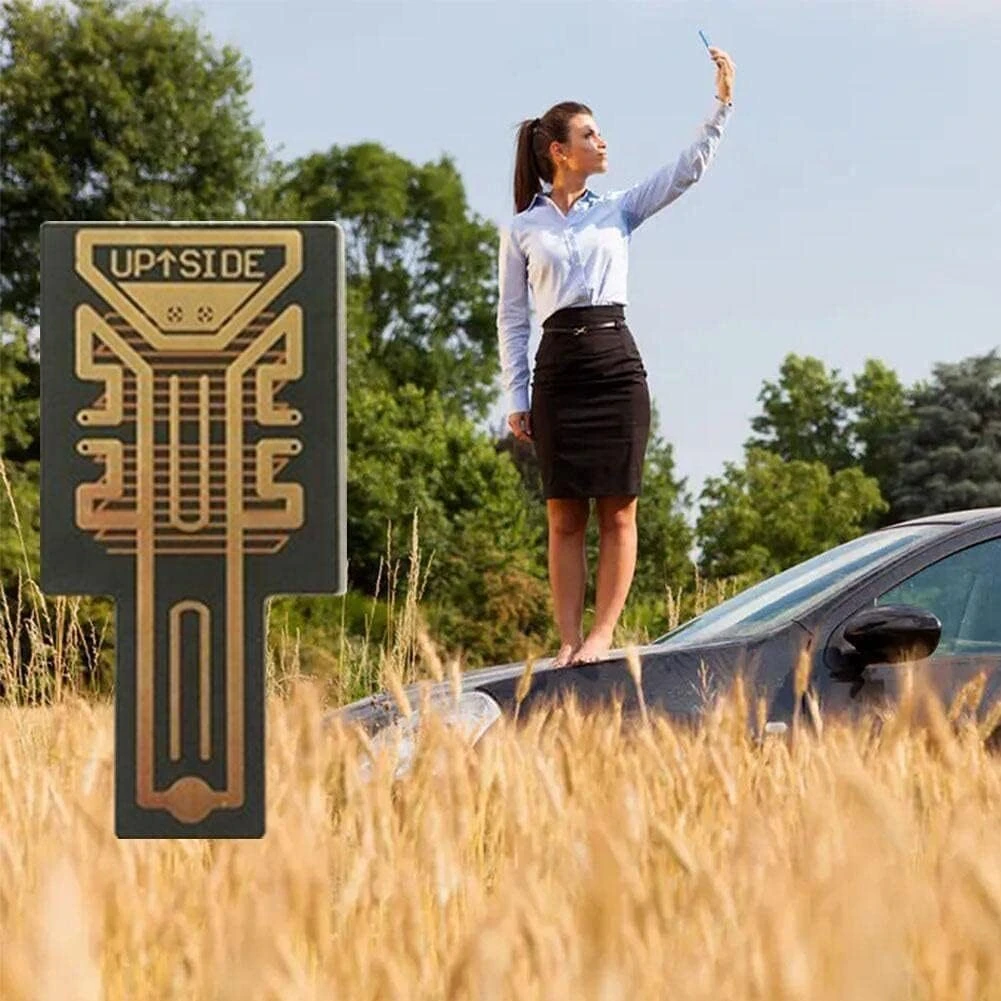 Amplificador Señal de Teléfono X1