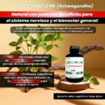Ashwagandha con Proteina Creatina - Imagen 3