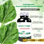Ashwagandha con Proteina Creatina