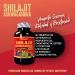Shilajit de Ashwaganda y Proteinacreatin - Imagen 2