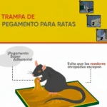 Set x2 Trampa de Pegamento para Ratas L-013 - Imagen 2