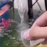 Set x2 Limpiador de Agua para Acuario Enzimas - Mantiene agua cristalina y saludable para peces - Imagen 2