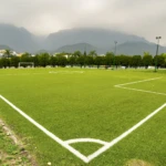 Semillas Césped Pasto Cancha Futbol 5G - Imagen 2