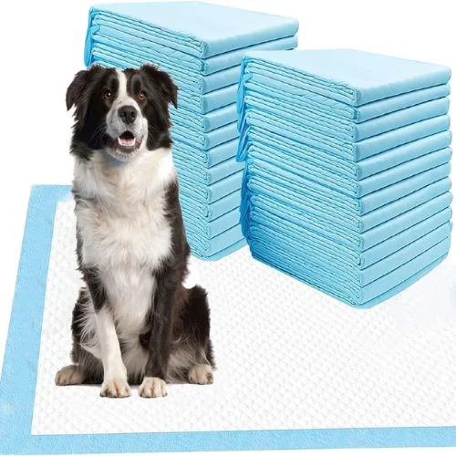 Tapete Entrenador para Perro X 50Und