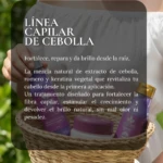 Acondicionador de Cebolla - Imagen 4