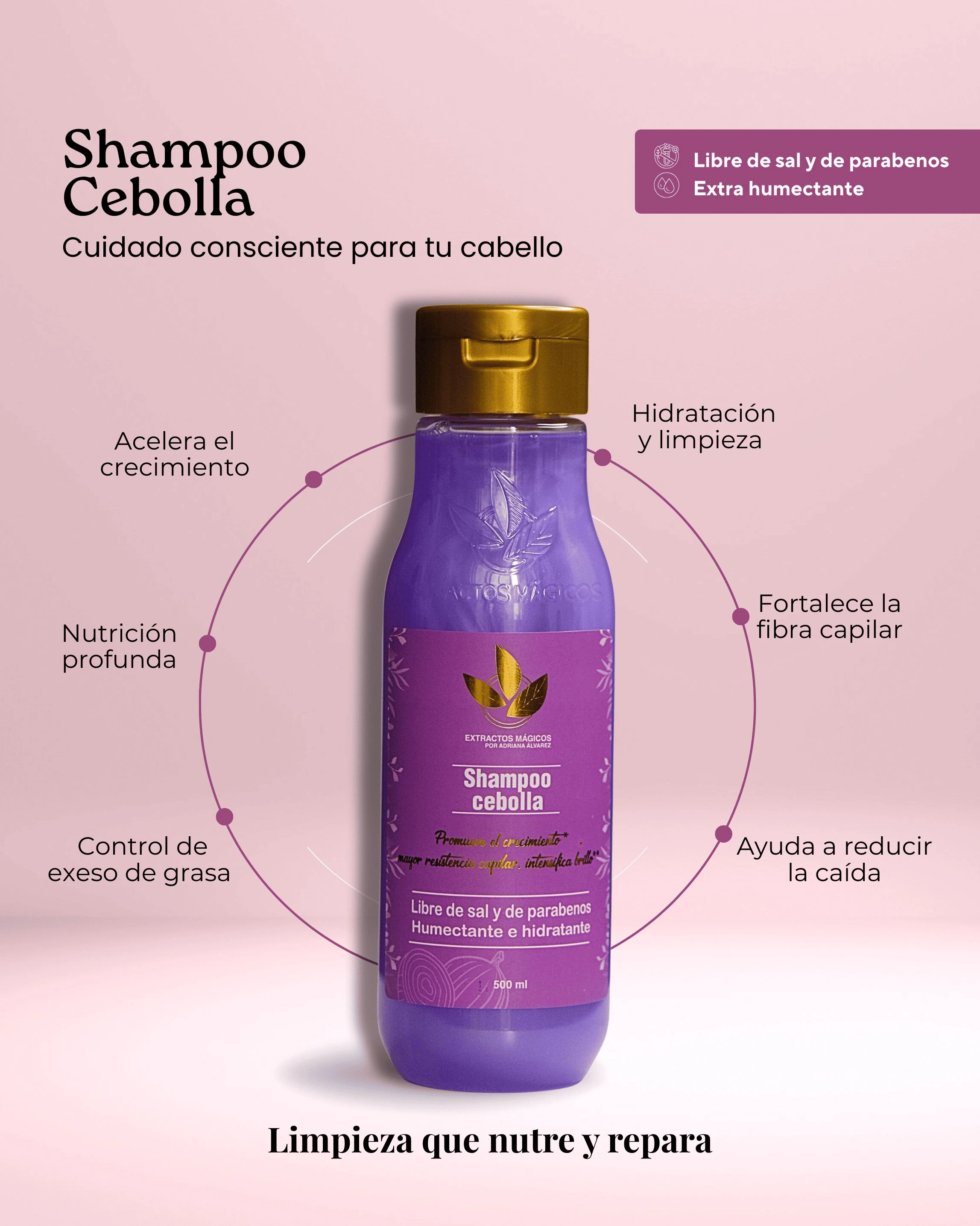Bote de champú de cebolla en tono morado con tapa dorada, sobre fondo rosa claro. Etiqueta frontal con logo y texto visible; diagrama circular alrededor del envase indica beneficios como crecimiento capilar, hidratación y control de grasa.