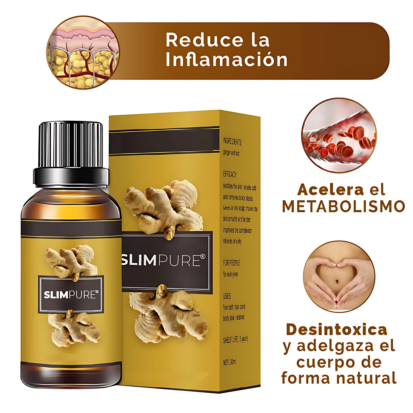 Aceite corporal detox de jengibre Slimpure, 30ml, para reducir inflamación y acelerar metabolismo.