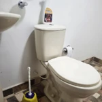 Inodoro blanco con tapa cerrada, junto a inodoro de baño con brocha amarilla y botella de limpiador sobre el tanque.