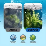 Comparación antes y después del uso del limpiador de agua con enzimas: tanque sucio con sedimentos y excremento versus agua clara con plantas verdes y peces activos; incluye íconos que muestran eliminación de excremento, comida sobrante y sedimentos.