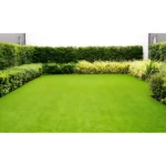 Césped verde intenso para cancha de fútbol de rápido crecimiento, con borde de arbustos y plantas decorativas.