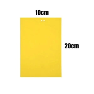 Trampa insectos amarilla adhesiva de 10x20 cm, con dos orificios superiores, para control de plagas en plantas sin químicos.