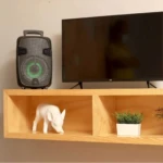 Parlante Bafle Kalley BSK8W negro con luces LED verdes, sobre estante de madera junto a TV y decoración.