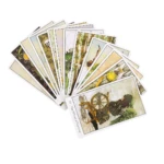 Cartas Del Tarot Dreaming Way - Imagen 5