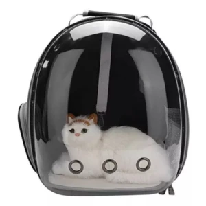 Mochila espacial transparente con gato blanco y naranja acostado dentro, mostrando ventilación lateral y asa superior.