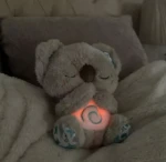 Calma Al Koala para Que Duerma - Imagen 3