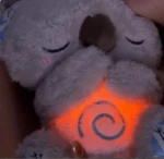 Calma Al Koala para Que Duerma - Imagen 2