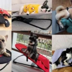 Silla Mecedora para Perros con Cinturón de Seguridad - Ofrece descanso tranquilo y seguro a tu mascota - Imagen 2